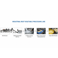 Root Vegetable Processing Production Line