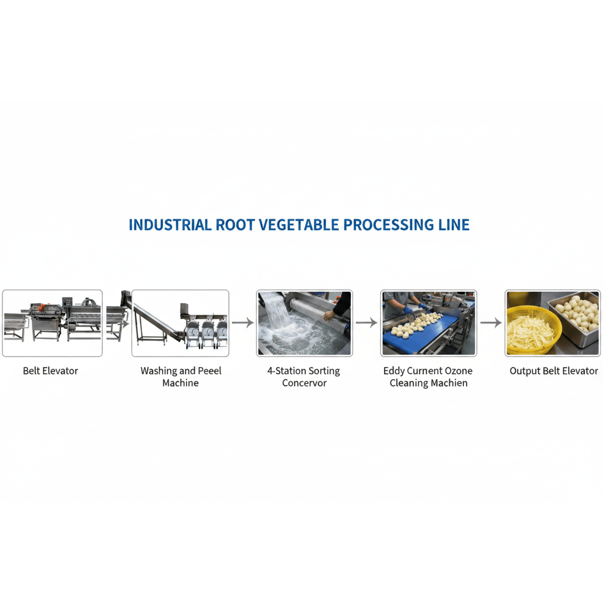 Root Vegetable Processing Production Line